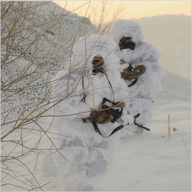 Ghillie Suit Woodland - Inverno 3D Branco Neve Ghillie Ternos