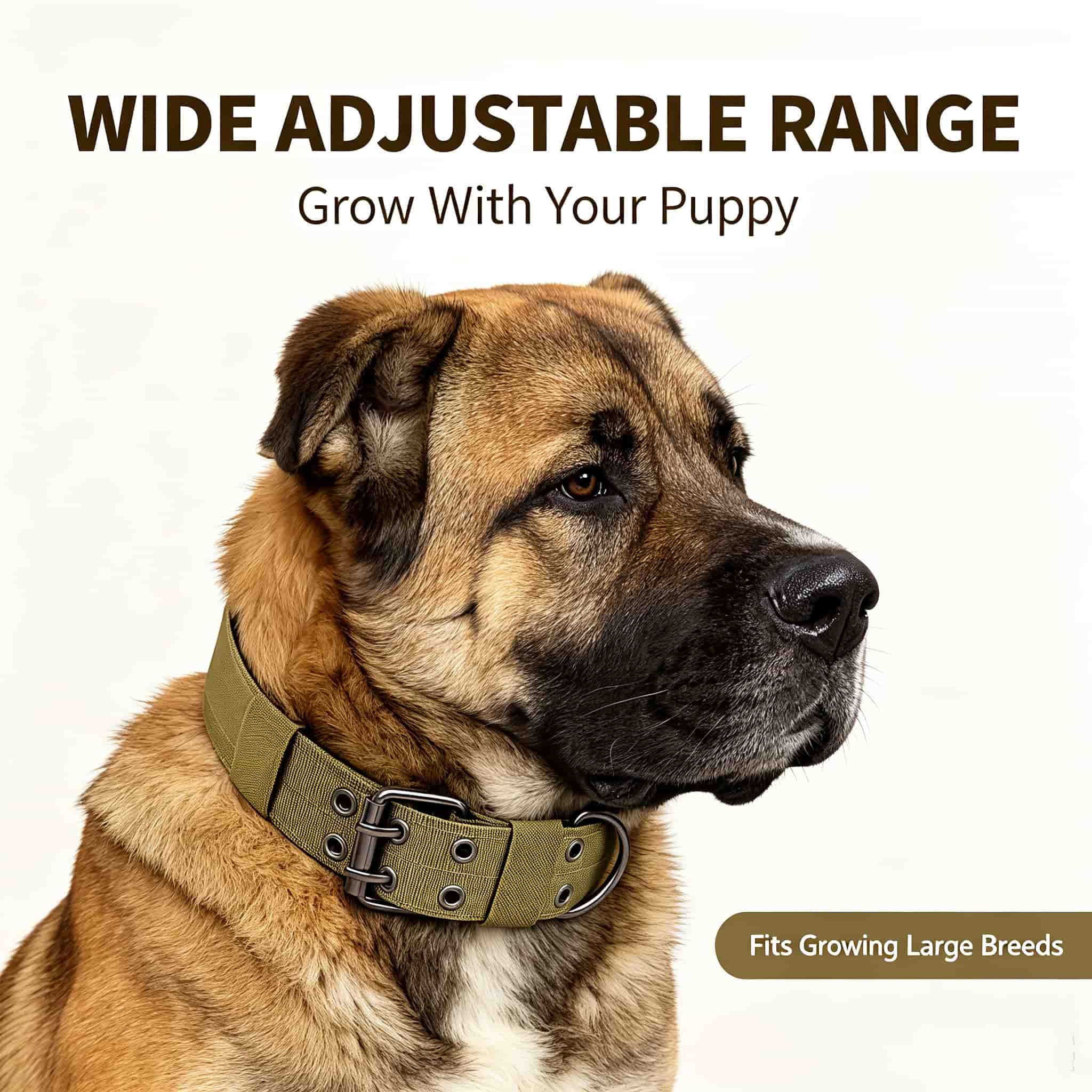 Coleira Tática Camo para Cães, - Outdoor Hunting Dog Collar avaliação e preço