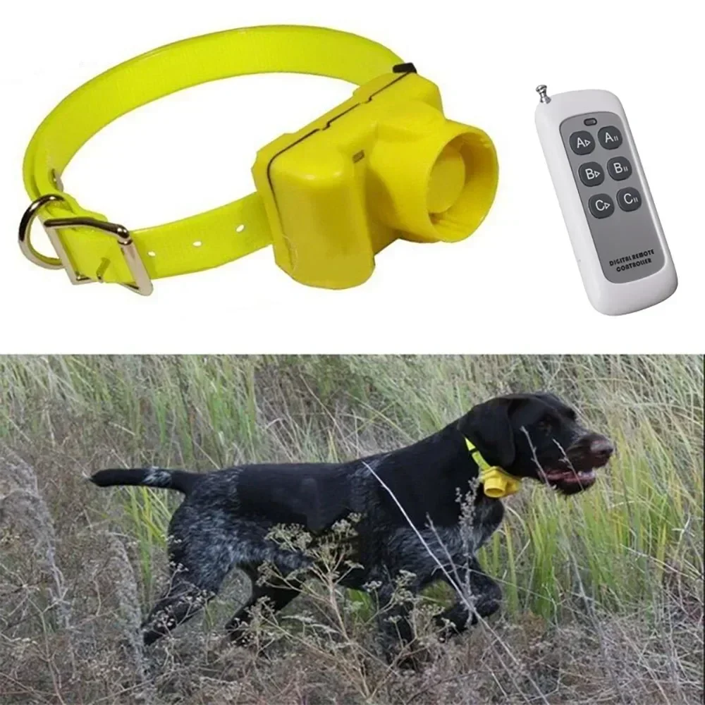 Coleira de bip de cachorro de  - Outdoor Hunting Dog Collar avaliação e preço